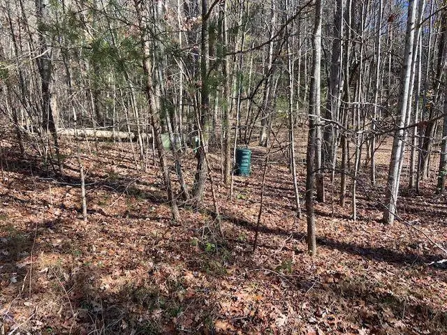 8 Cameron Point, Cleveland, GA 30528 - #3