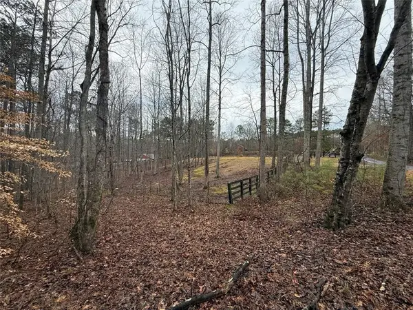 1666 Rock Springs Lane, Woodstock, GA 30188
