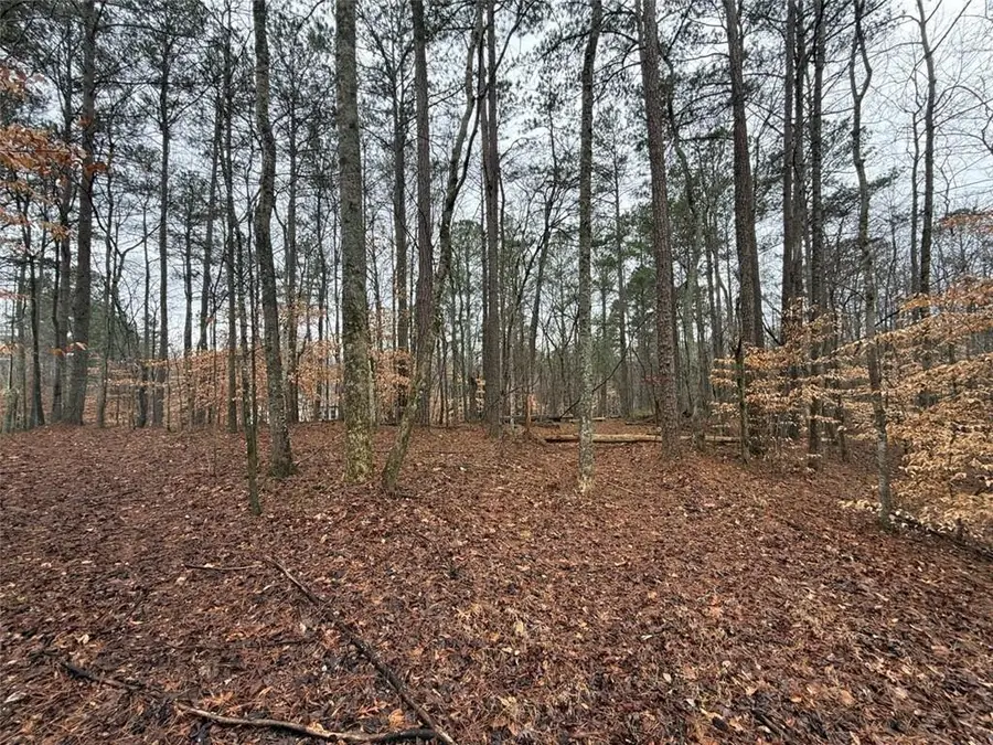 1666 Rock Springs Lane, Woodstock, GA 30188 - #2