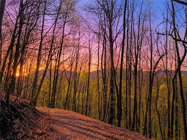 29 AC Hidden Valley Drive, Ellijay, GA 30536
