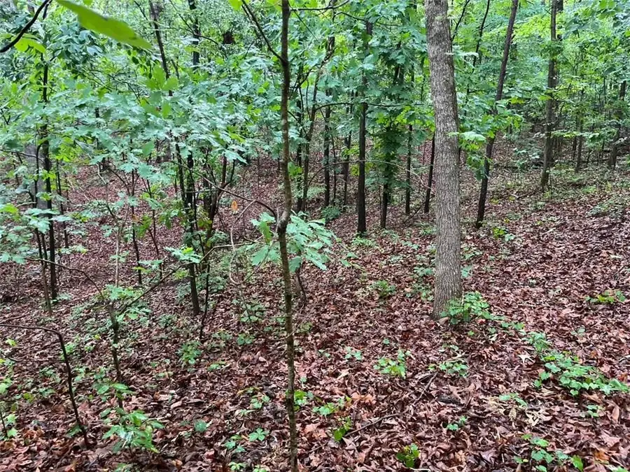 0 Lake Club Drive, Lavonia, GA 30553 - #3