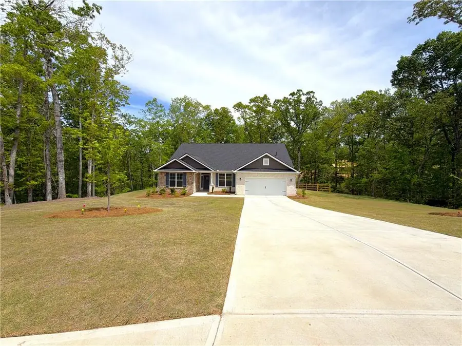 3305 Trevi Trail, Douglasville, GA 30135 - #3
