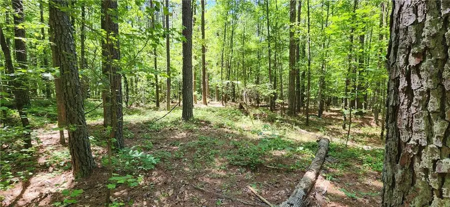 4980 Wynship Lane, Snellville, GA 30039 - #3