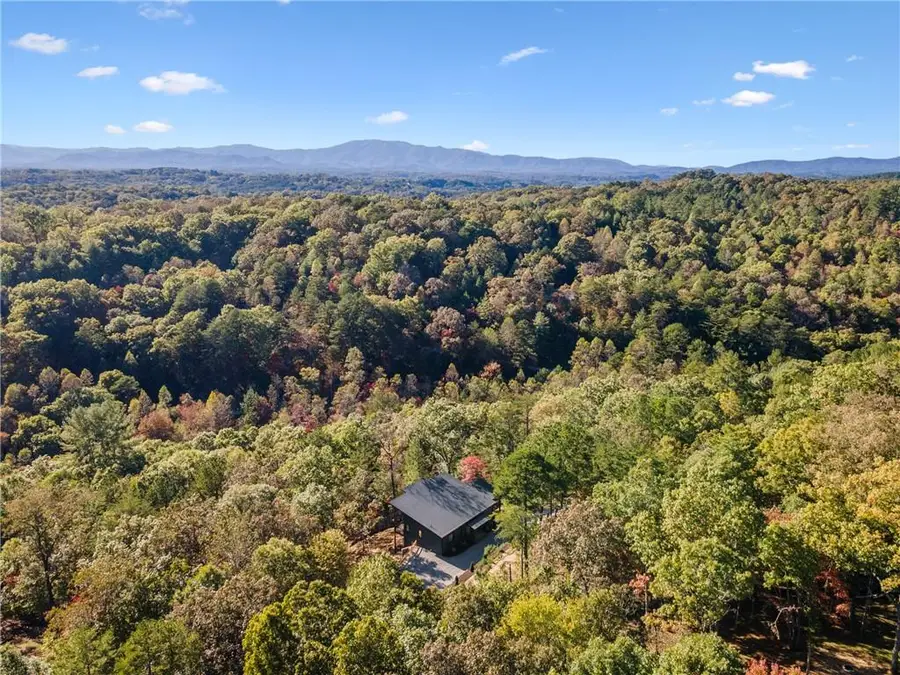 65 Wolf Creek Heights, Mineral Bluff, GA 30559 - #3