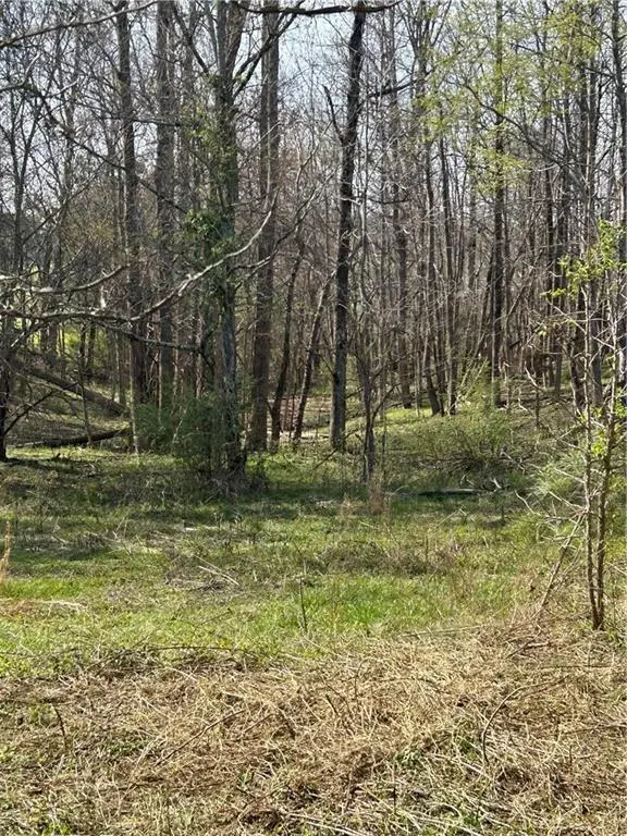 0 Browning Road, Fairmount, GA 30139 - #1
