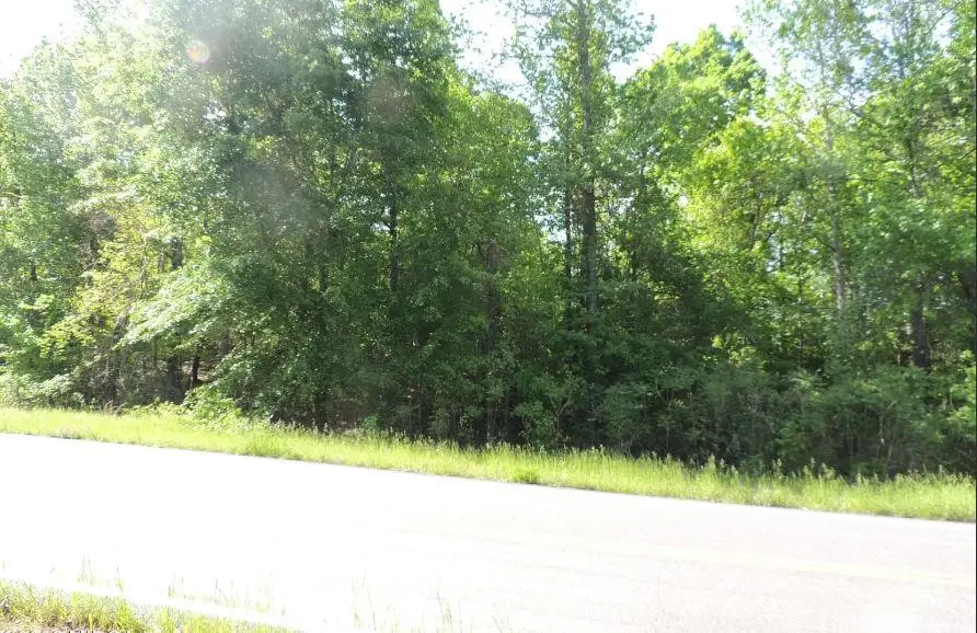 0 Causey Rd, Knoxville, GA 31050 - #2