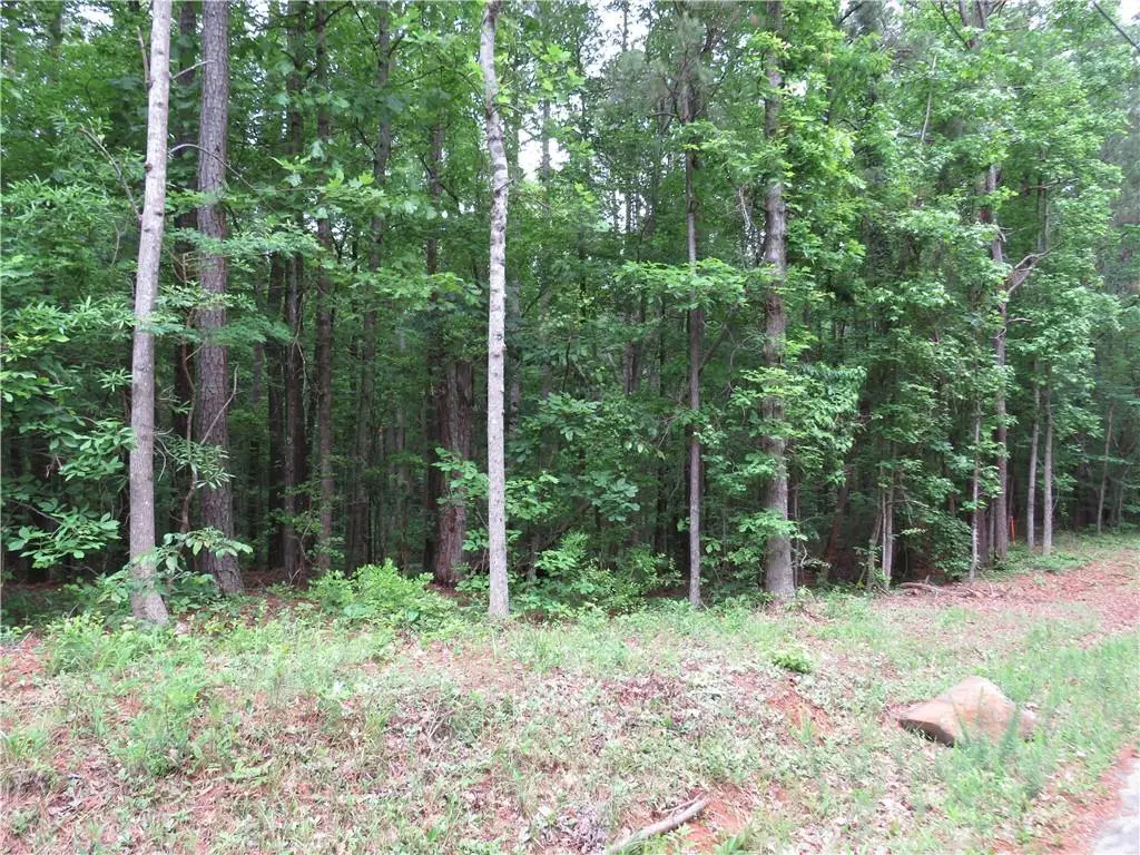 0 Doke Cohran Road, Dallas, GA 30157 - #1