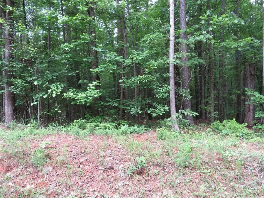 0 Doke Cohran Road, Dallas, GA 30157 - #2