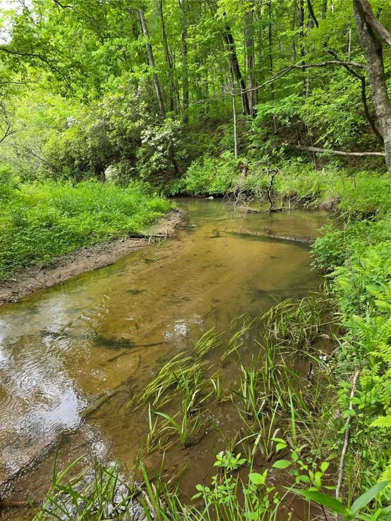 409 Harrison Sluder Road, Ellijay, GA 30540 - #2