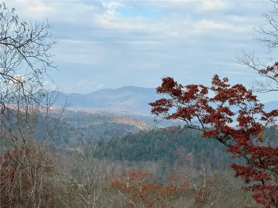 456 Back Pine Way, Ellijay, GA 30536 - #2
