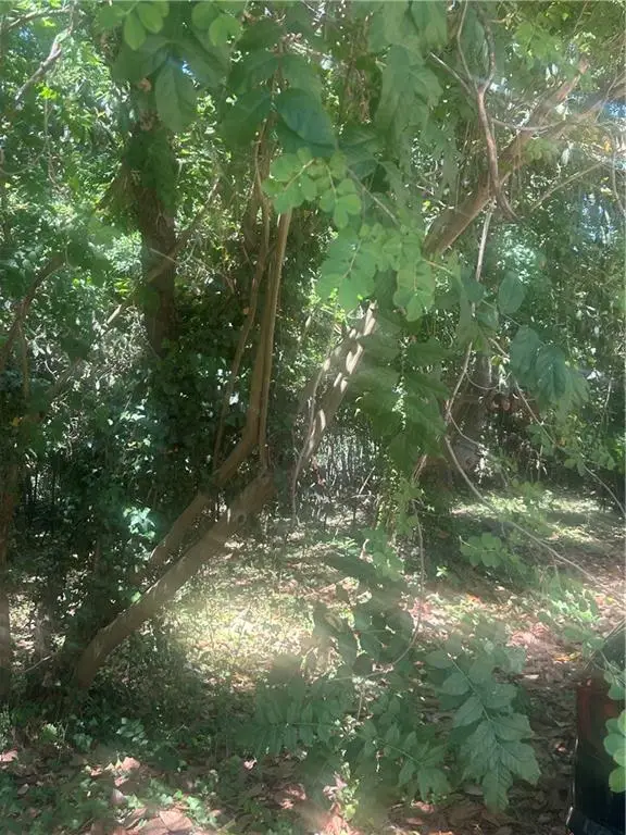 0 Magnolia, McIntyre, GA 31054 - #1