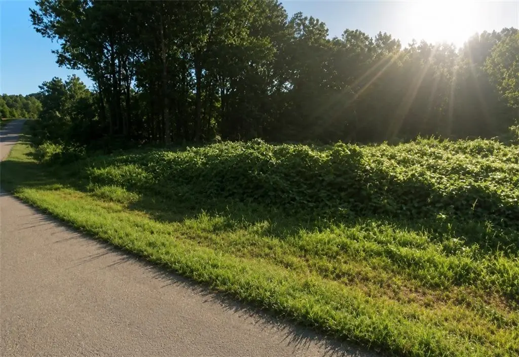 Lot 12 Nails Creek Xing, Royston, GA 30662 - #1