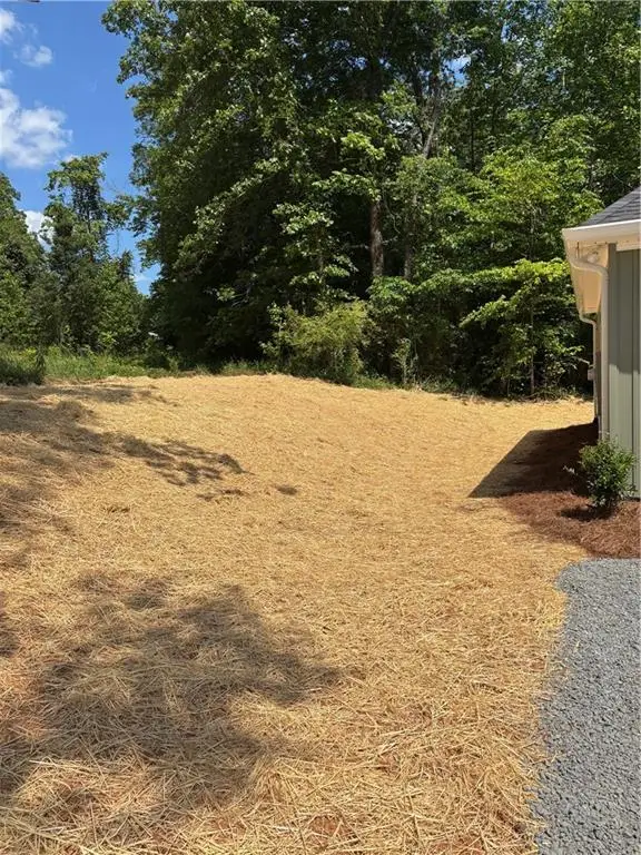 40 Olive Branch Lane, Dahlonega, GA 30533 - #2