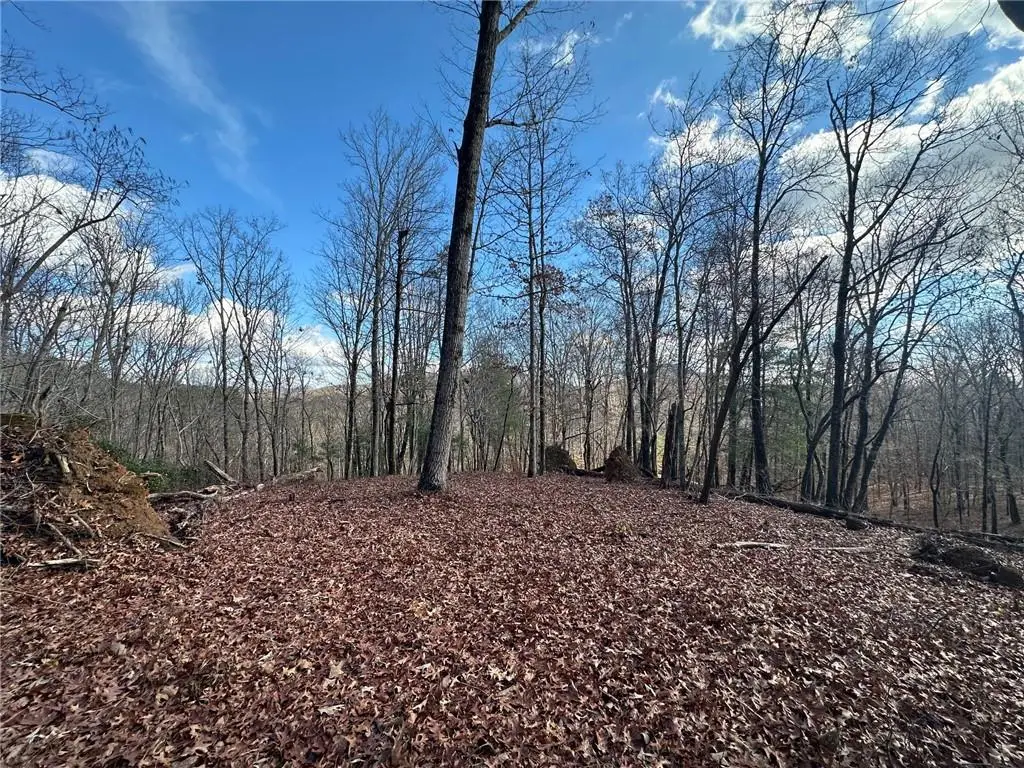 200 Mincey Acres Drive, Murrayville, GA 30564 - #1