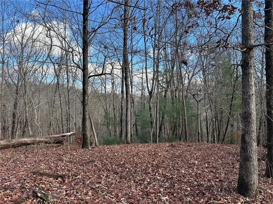 200 Mincey Acres Drive, Murrayville, GA 30564 - #2