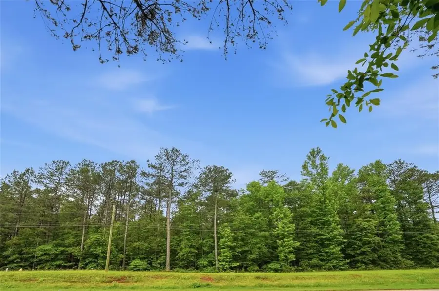2919 Highway, Covington, GA 30016 - #2