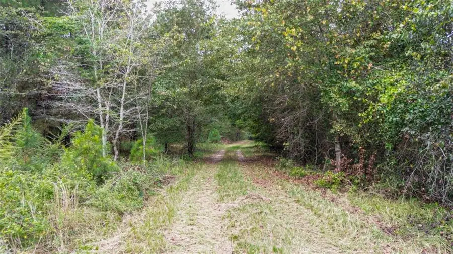 0 Willow Creek Drive, Oglethorpe, GA 31068 - #2