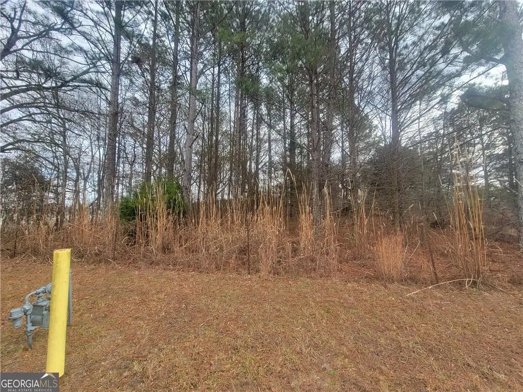 2025 Highway 138 Ne, Conyers, GA 30013 - #1