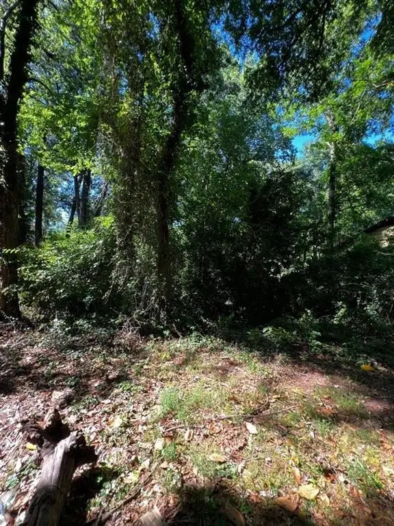 0 Dalton Street Se, Atlanta, GA 30315 - #1