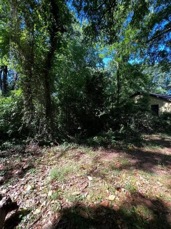 0 Dalton Street Se, Atlanta, GA 30315 - #2