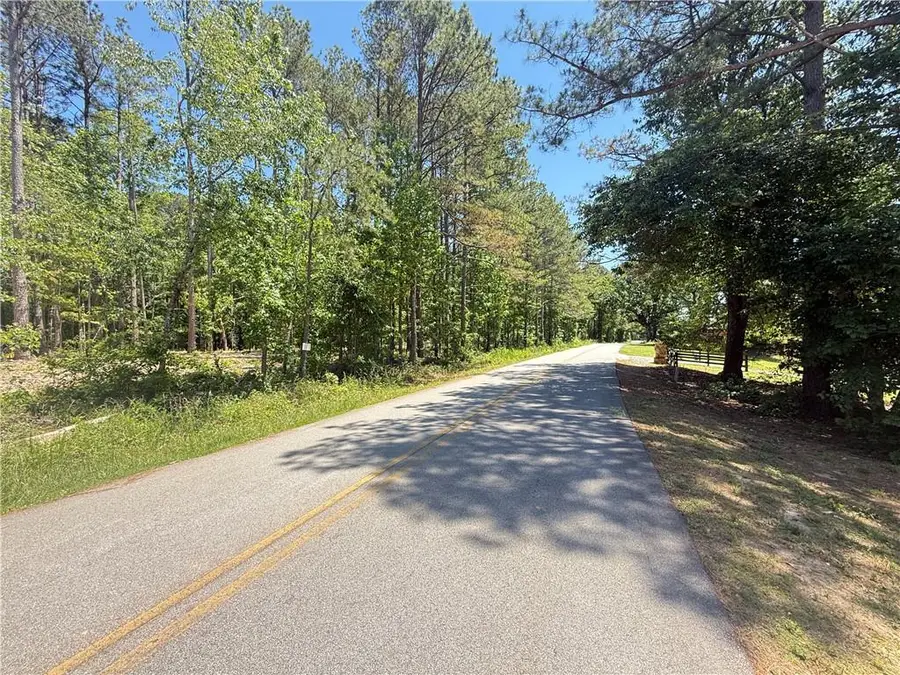 0 Pope Road, Buchanan, GA 30113 - #2