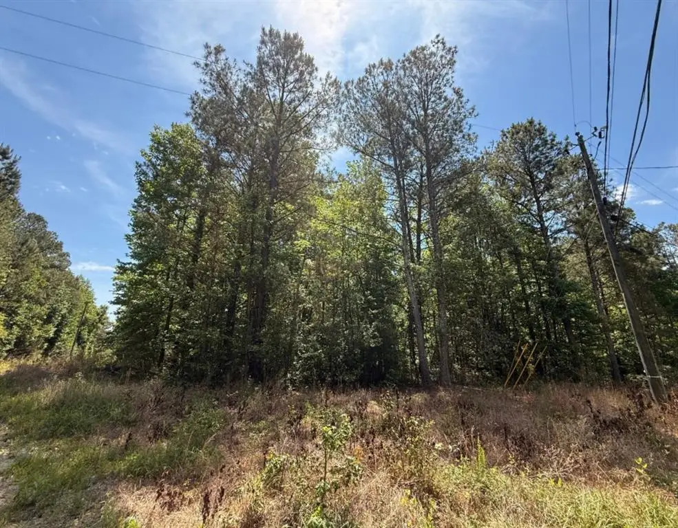 467 N Raburn Road, Bremen, GA 30110 - #1