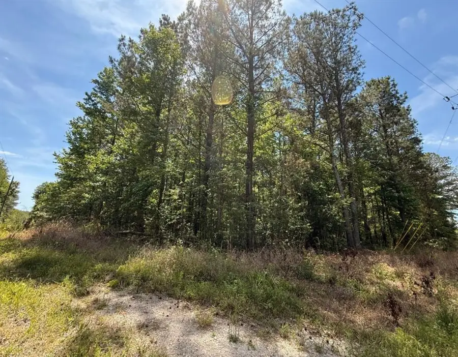 467 N Raburn Road, Bremen, GA 30110 - #2