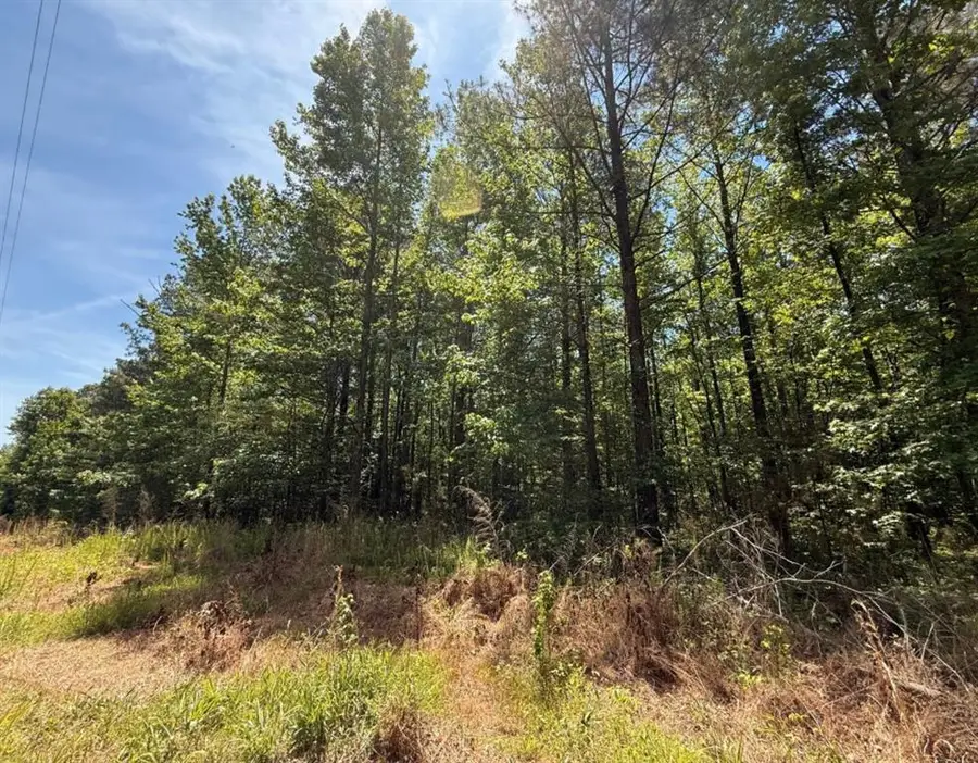 467 N Raburn Road, Bremen, GA 30110 - #3