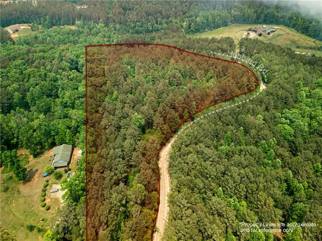 1315 Hubbard Road, Dawsonville, GA 30534 - #1