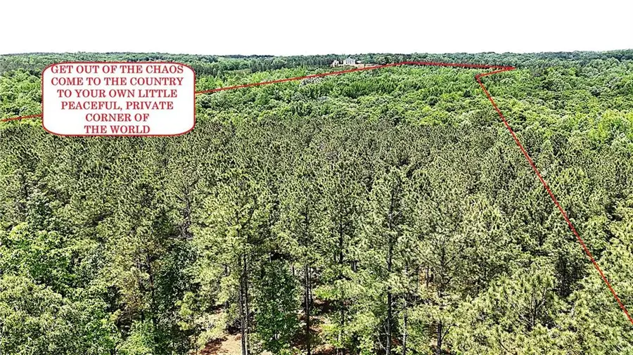 00001 Wilson Road, Temple, GA 30179 - #3