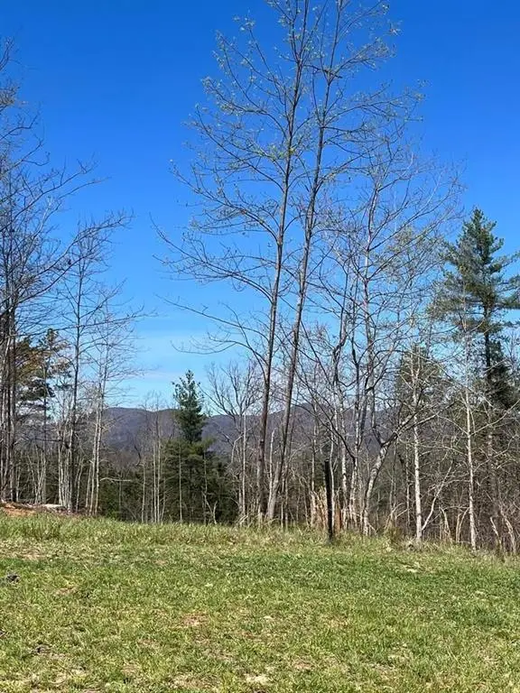 6480 Highway 52 W, Dahlonega, GA 30533 - #2