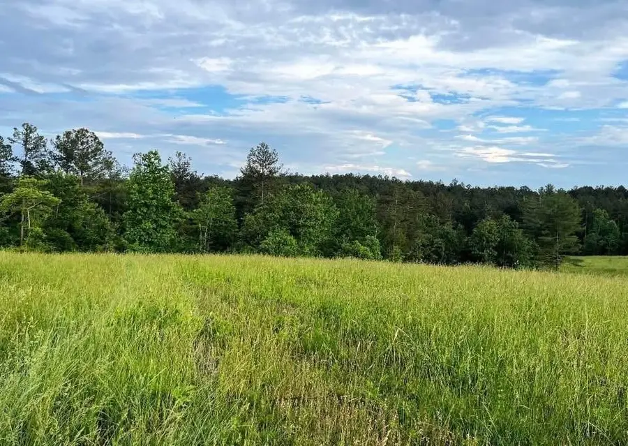 6480 Highway 52 W, Dahlonega, GA 30533 - #3