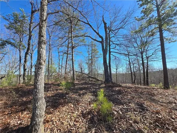 0 Brushy Mountain Road, Rockmart, GA 30153