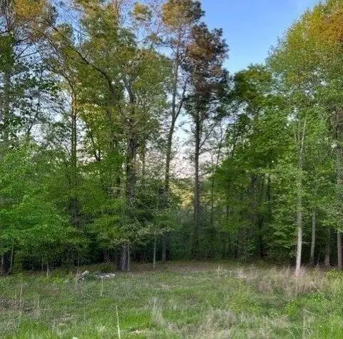 1628 Alcovy Ridge Crossing Crossing, Loganville, GA 30052 - #2