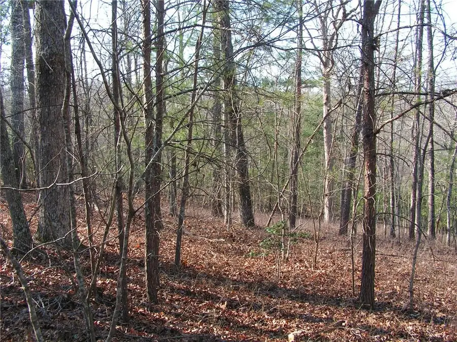 0 Mount Pleasant Church Road, Cleveland, GA 30528 - #2