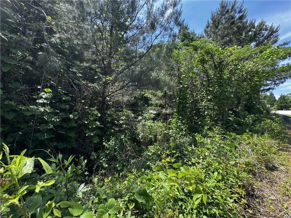 1465 Mineral Springs Road, Hoschton, GA 30548 - #1