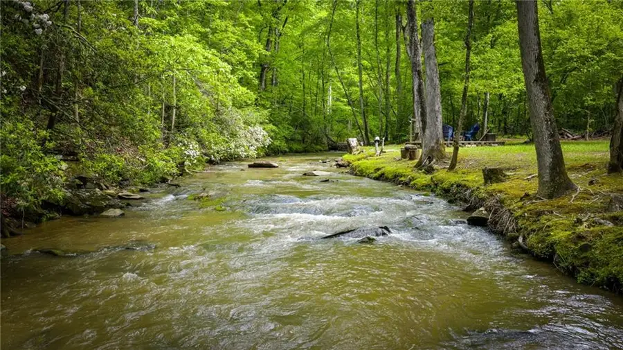 704 Town Creek Church Road, Talking Rock, GA 30175 - #3