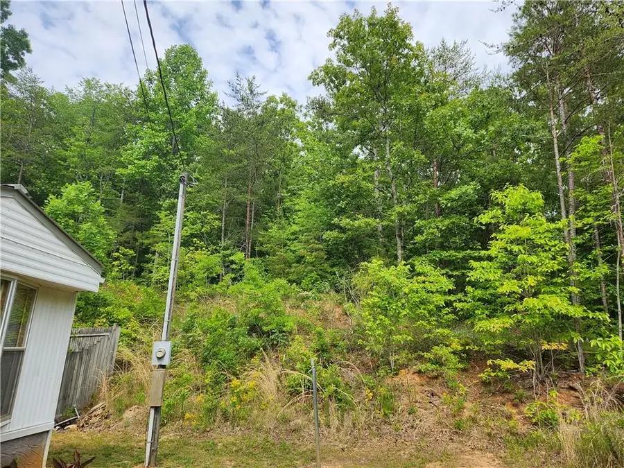 121 Rebecca Court, Dahlonega, GA 30533 - #3