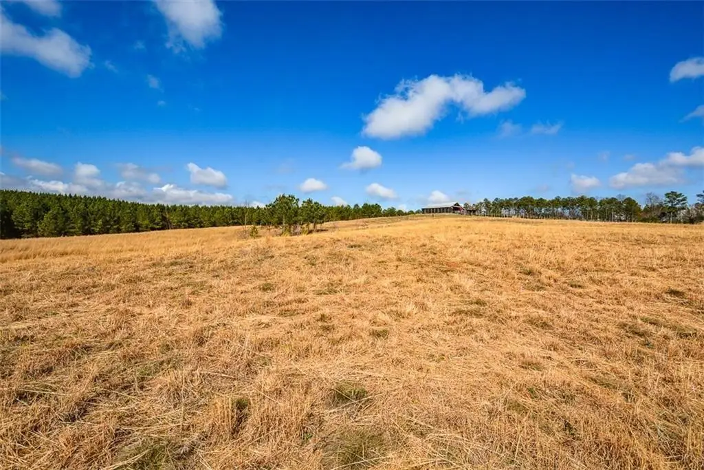 119 Inland Drive 3 Acres, Talking Rock, GA 30175 - #1