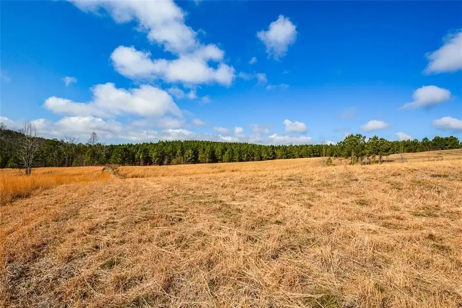 119 Inland Drive 3 Acres, Talking Rock, GA 30175 - #3