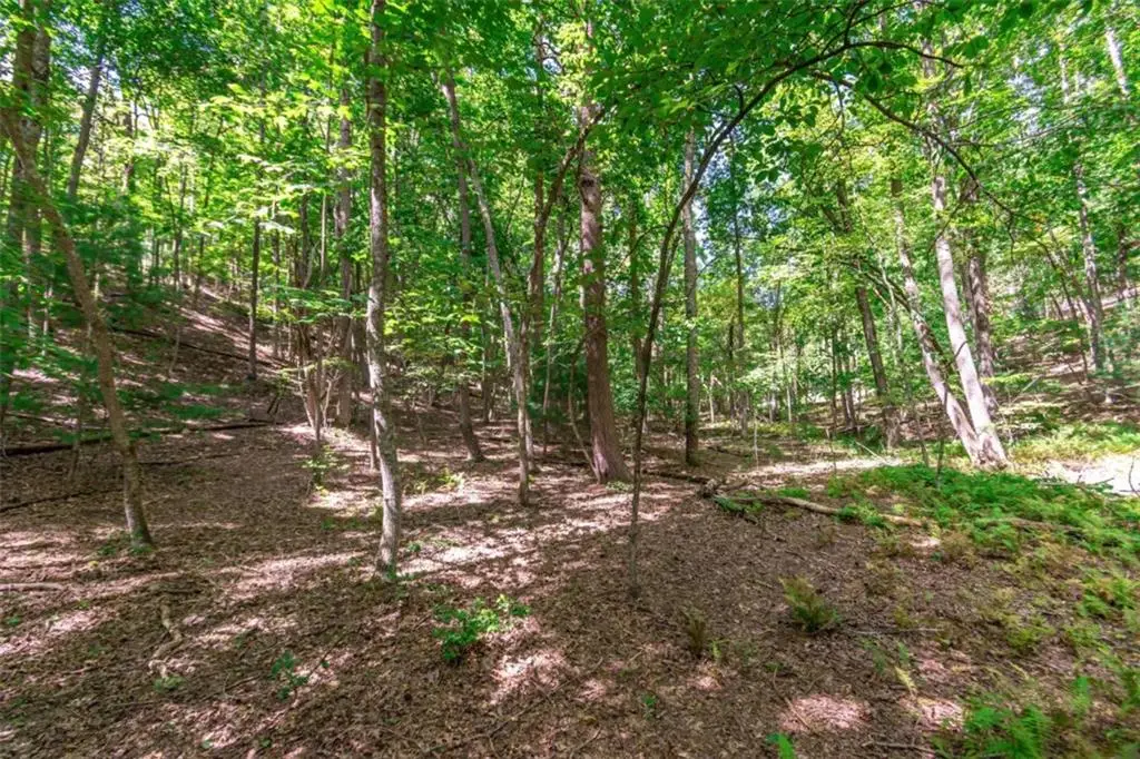 LOT 22 Meadow Brook Trail, Morganton, GA 30560 - #1