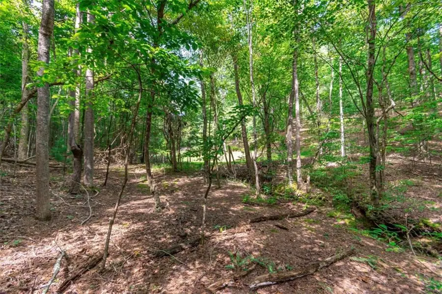 LOT 22 Meadow Brook Trail, Morganton, GA 30560 - #3