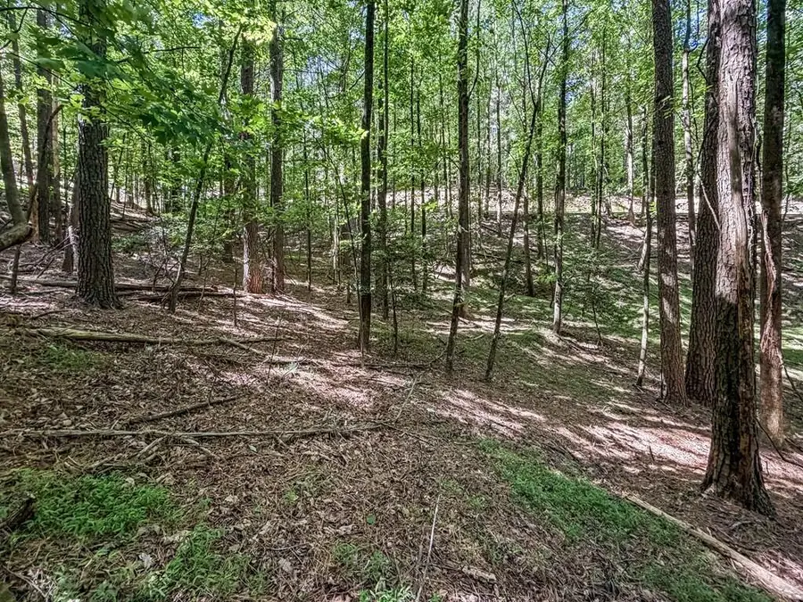 Lot 26 Estates Drive, Ellijay, GA 30536 - #3