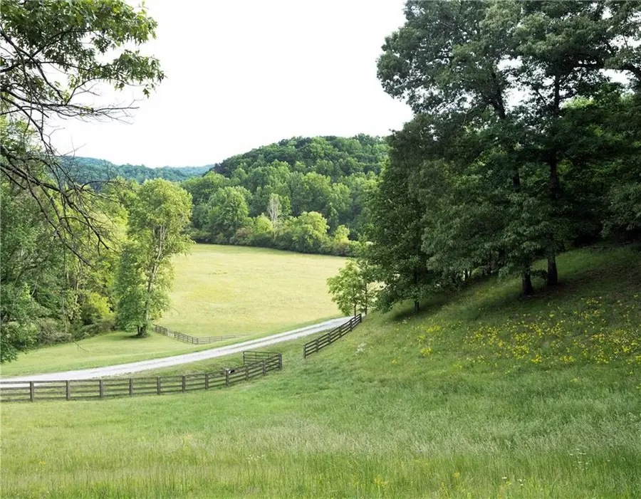 619 Hamp Mill Road, Dahlonega, GA 30533 - #3