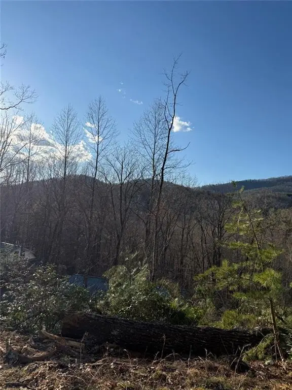 Lot 6D Meadow View Lane, Cleveland, GA 30528 - #1