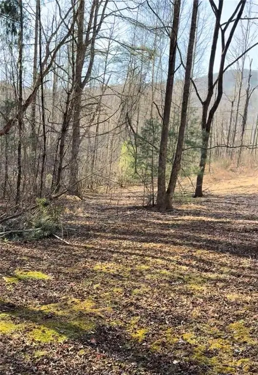 Lot 6D Meadow View Lane, Cleveland, GA 30528 - #3