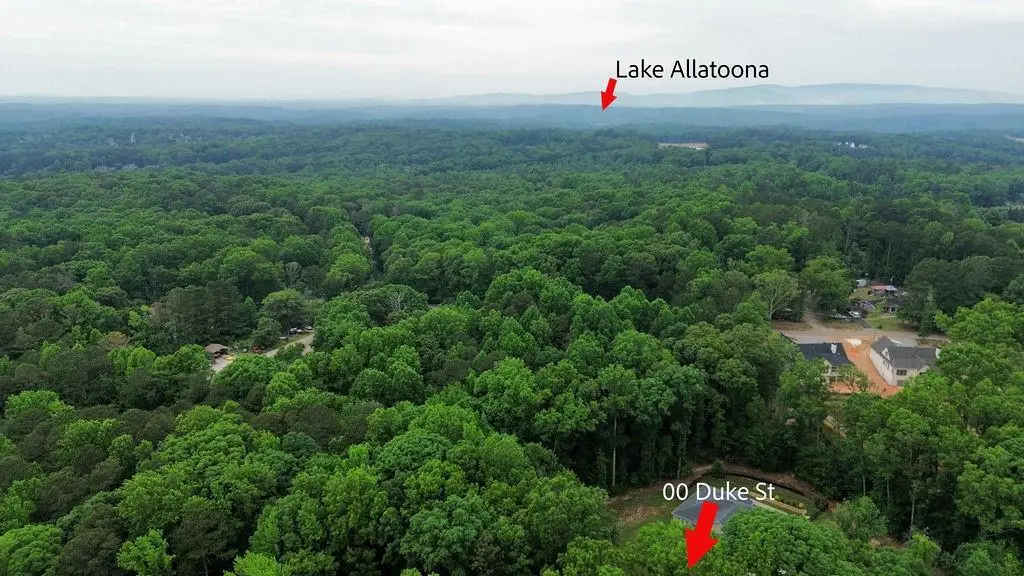 00 Duke Street, Canton, GA 30114 - #1