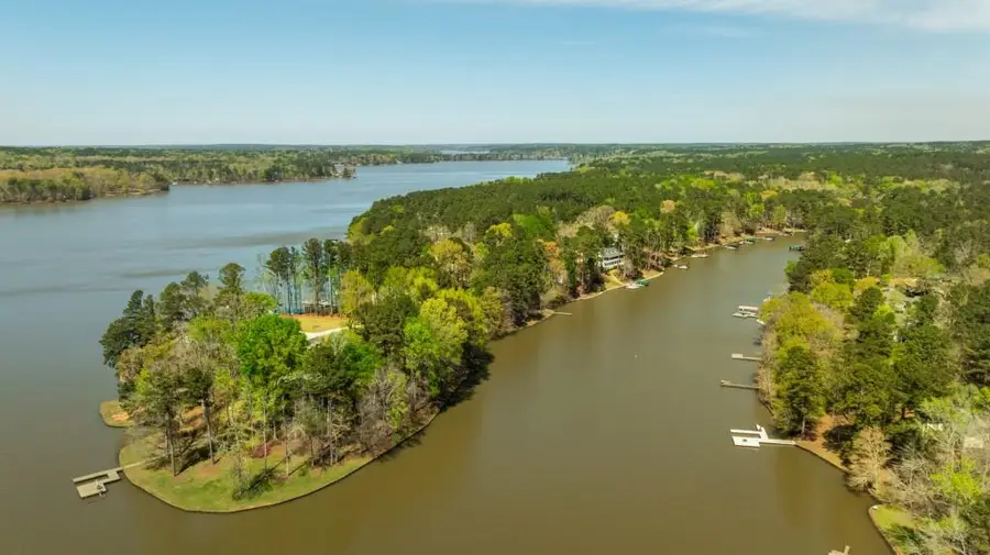 1810 Parks Mill Drive, Greensboro, GA 30642 - #3