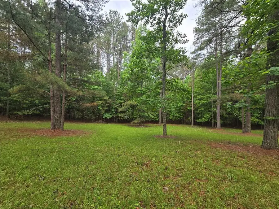 47 Sweetwater Lane, Blairsville, GA 30512 - #2