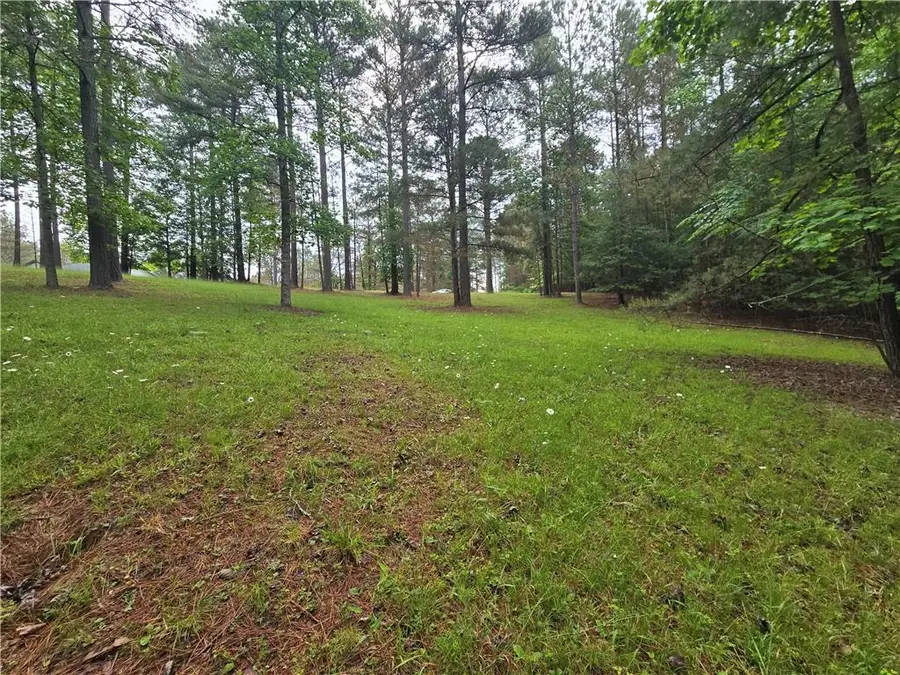 47 Sweetwater Lane, Blairsville, GA 30512 - #3